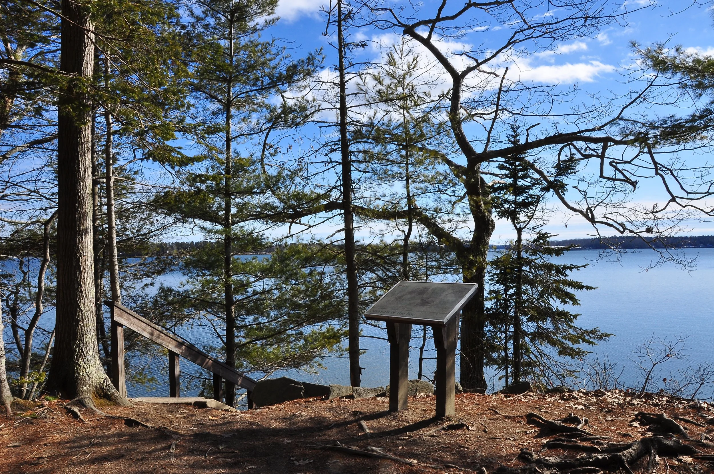 Wolfe's Neck_trees-water_February2020_StephenKarpiak.JPG