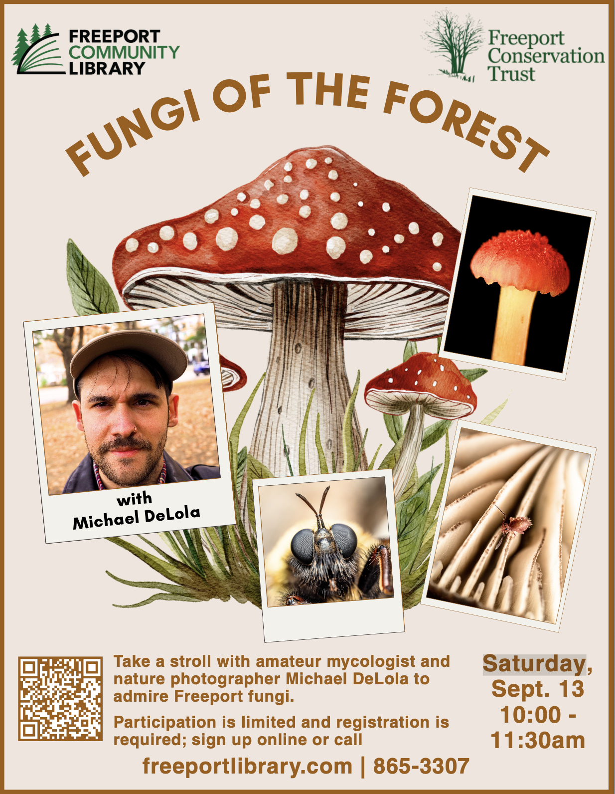 Fungi In The Forest Walk