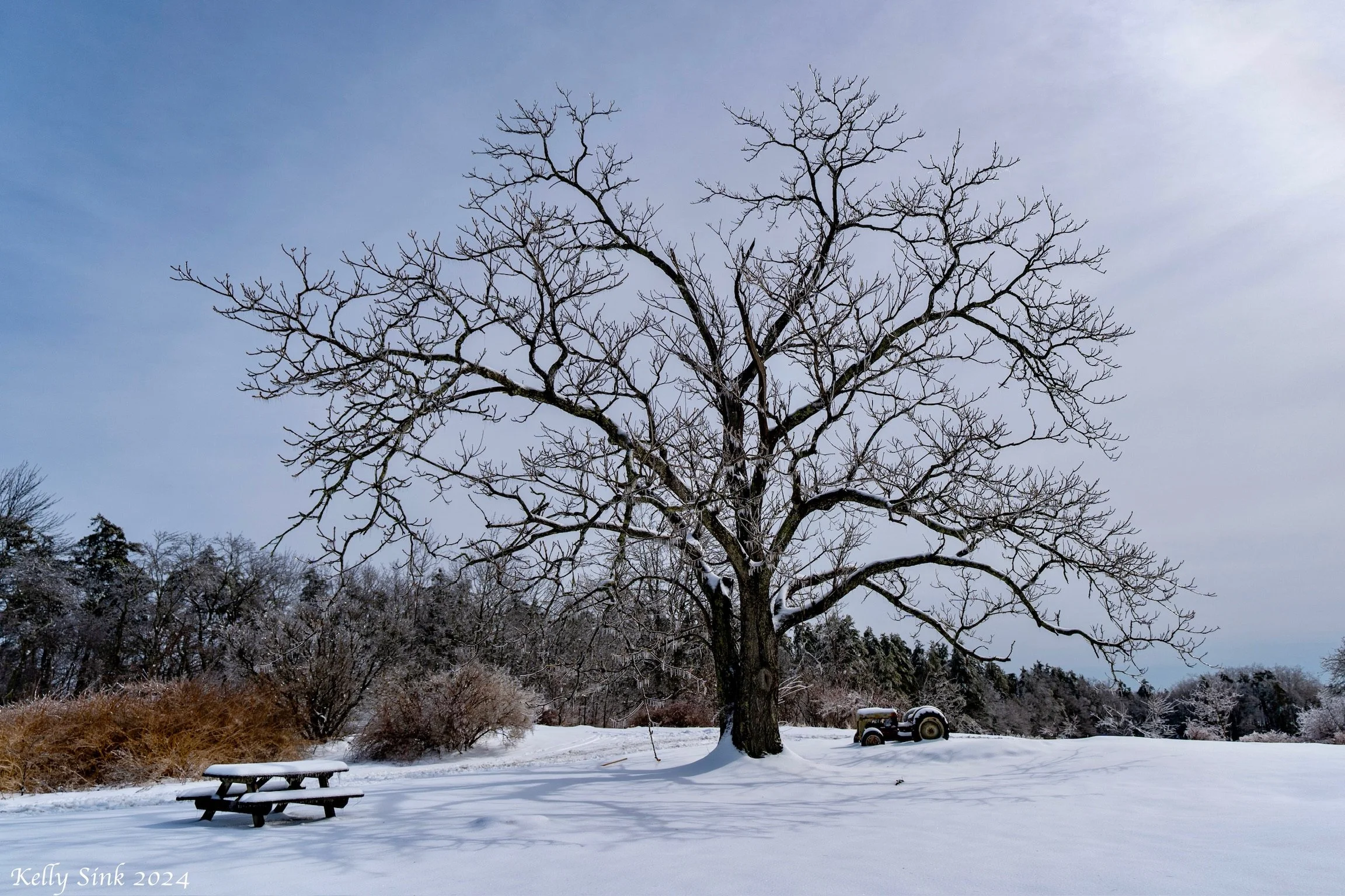 February Trail Crew Session