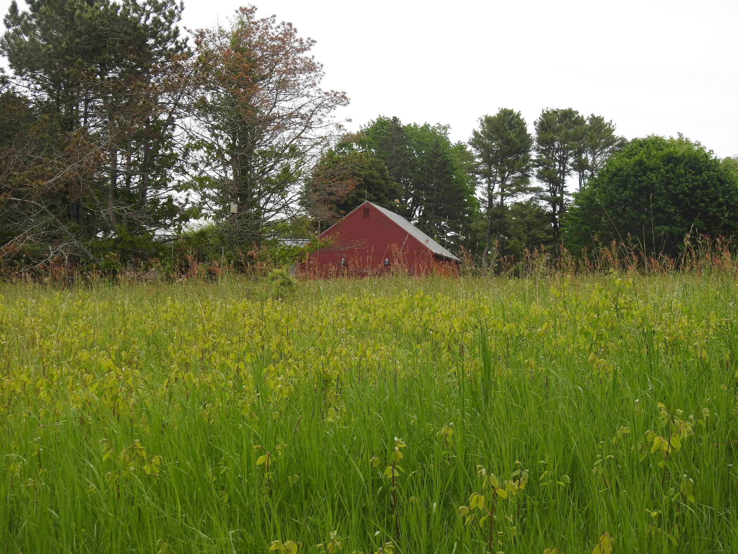 May Volunteer Trail Crew