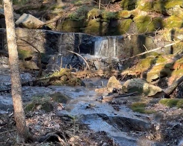 May Volunteer Trail Crew