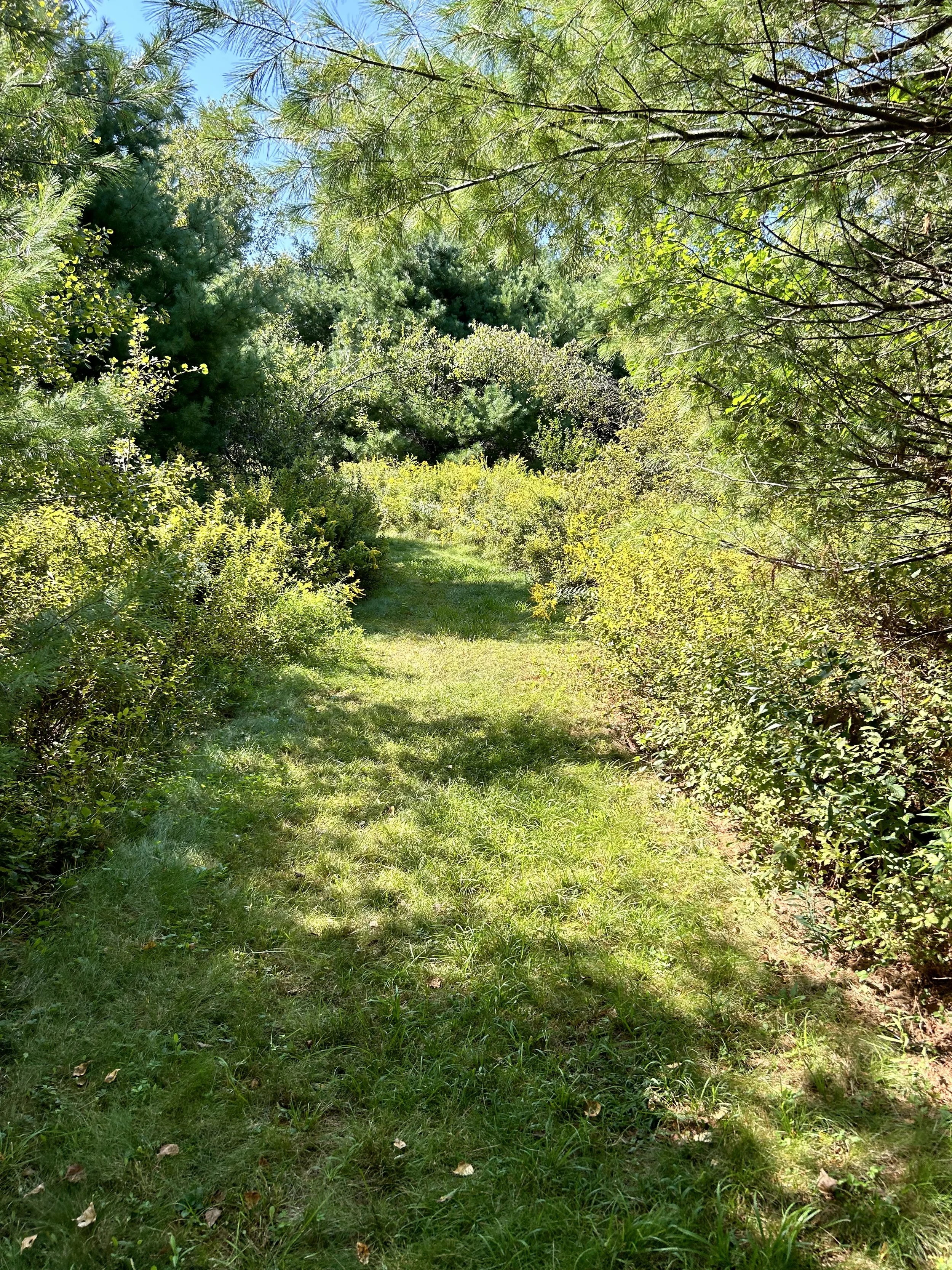 August Trail Crew Session