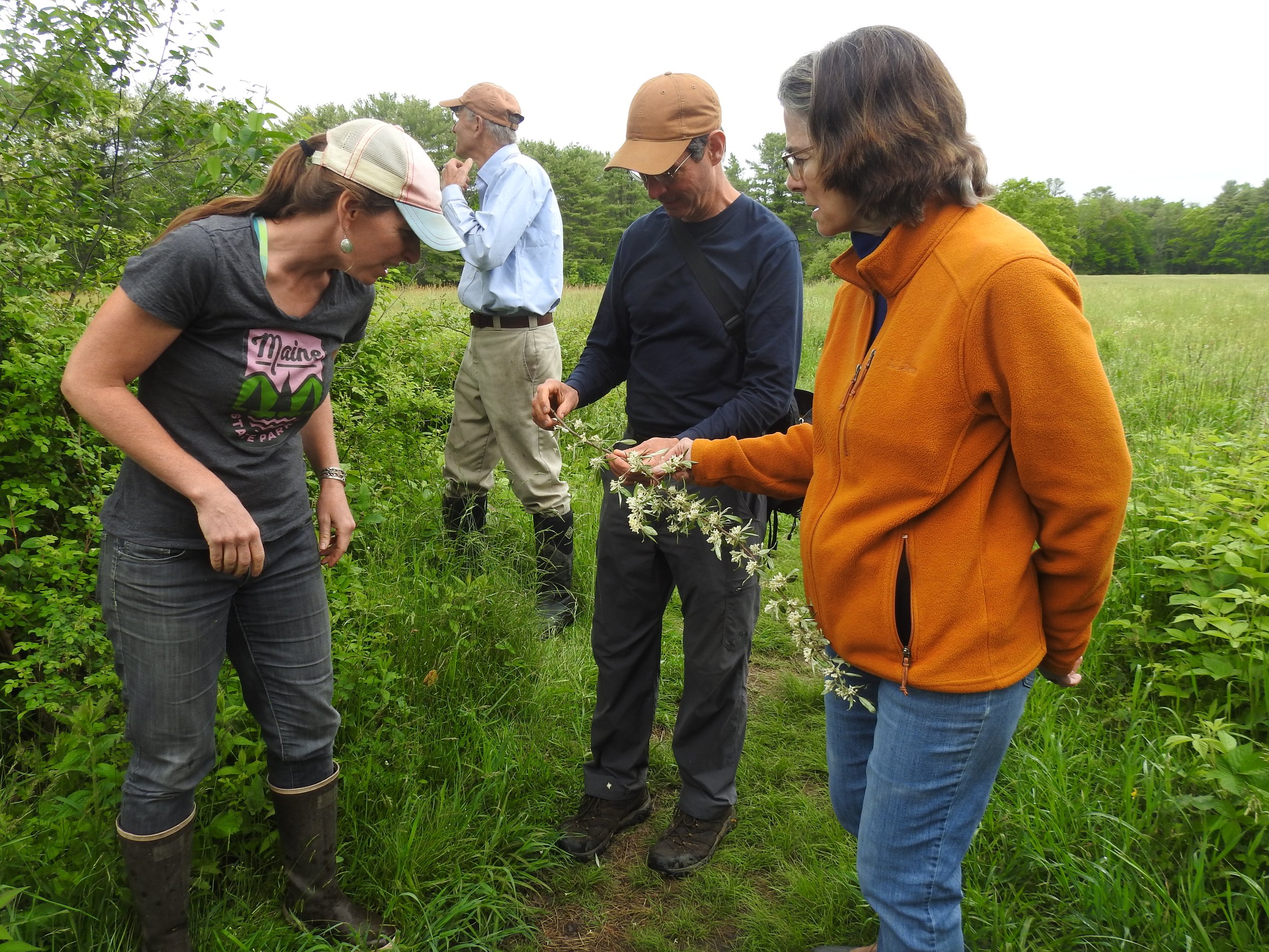 Invasive Species Workshop