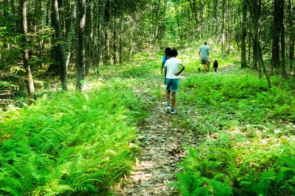 Freeport Trail Challenge — Freeport Conservation Trust