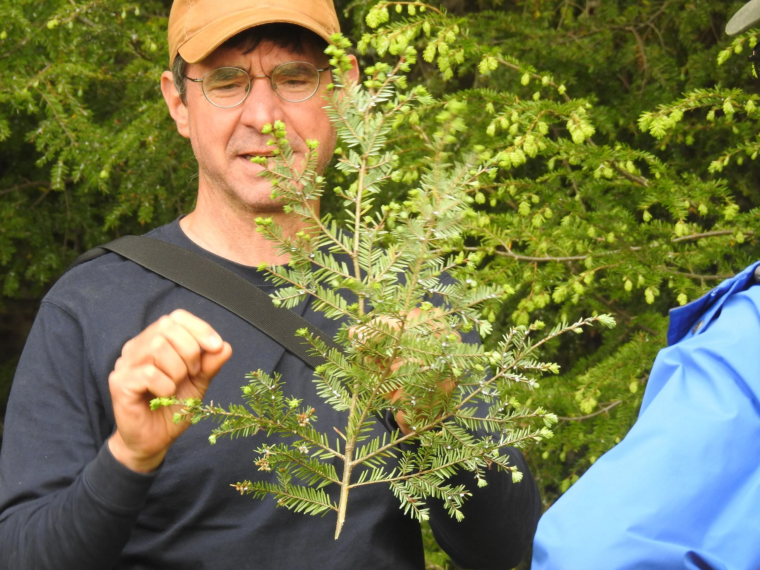 SaylesField_Jonahtan_InvasivesWorkshop_June2022_AmandaTheall.JPG