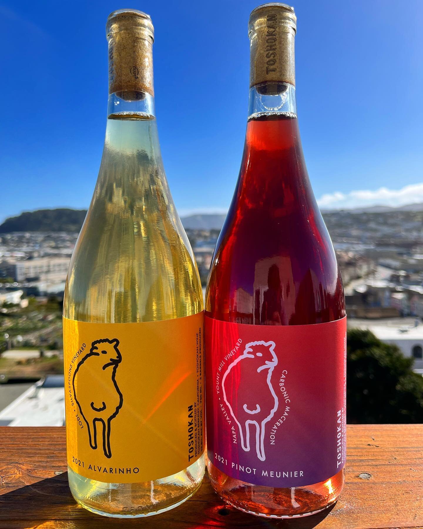 🚨 NEW ARRIVALS 🚨 from @toshokanwine - 2021 Alvarinho from Lodi and 2021 Pinot Meunier from Napa. Perfect pairing for springtime. Available now! #toshokan #californiawine #naturalwine #berkeley #alvarinho #pinotmeunier #glouglou