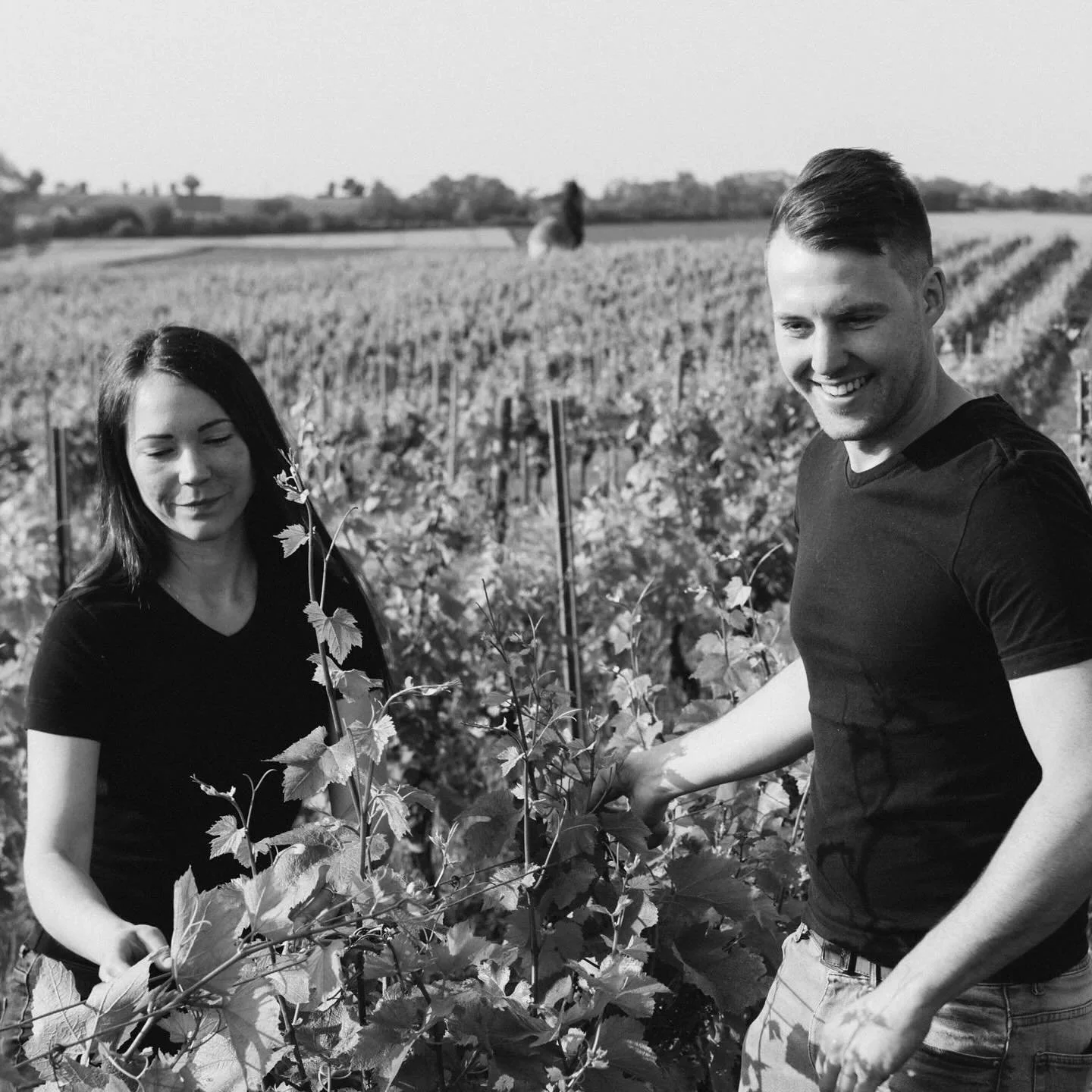 Merchants of Thirst is excited to welcome Bianka & Daniel Schmitt back to California! 🌿🍇
 
Bianka and Daniel are among the most exciting voices in Germany’s natural wine movement, farming biodynamically in Rheinhessen and c