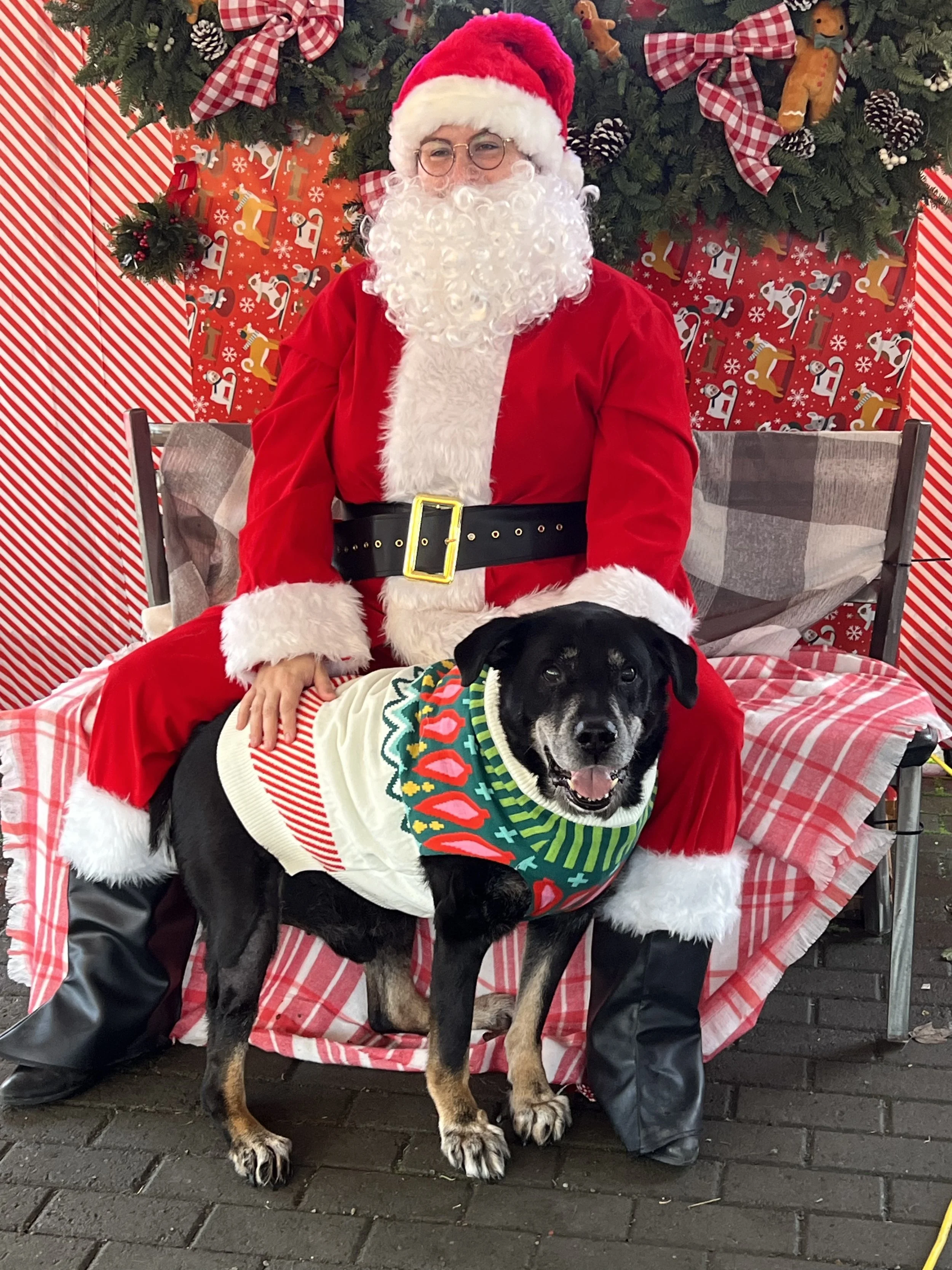 Santa Paws Salem