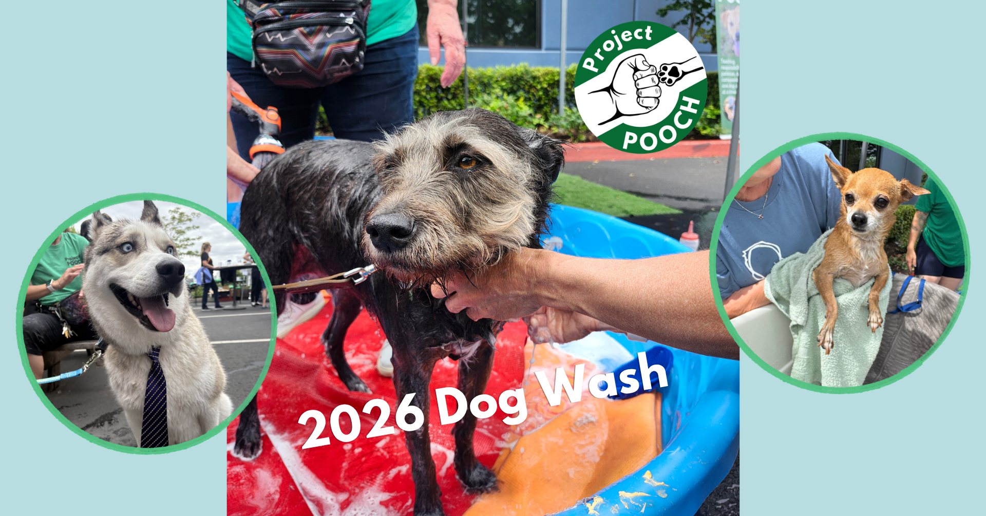 Dog Wash Extravaganza 2026