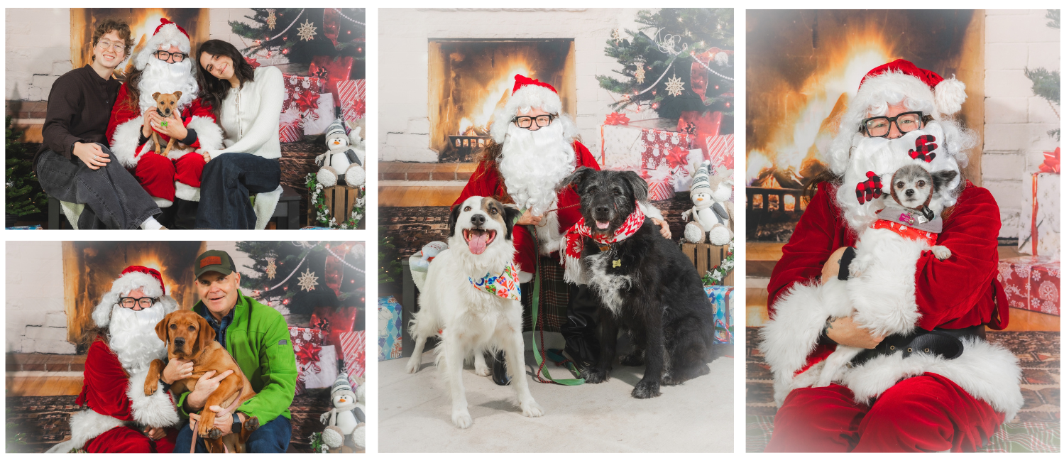 Santa Paws Portland 