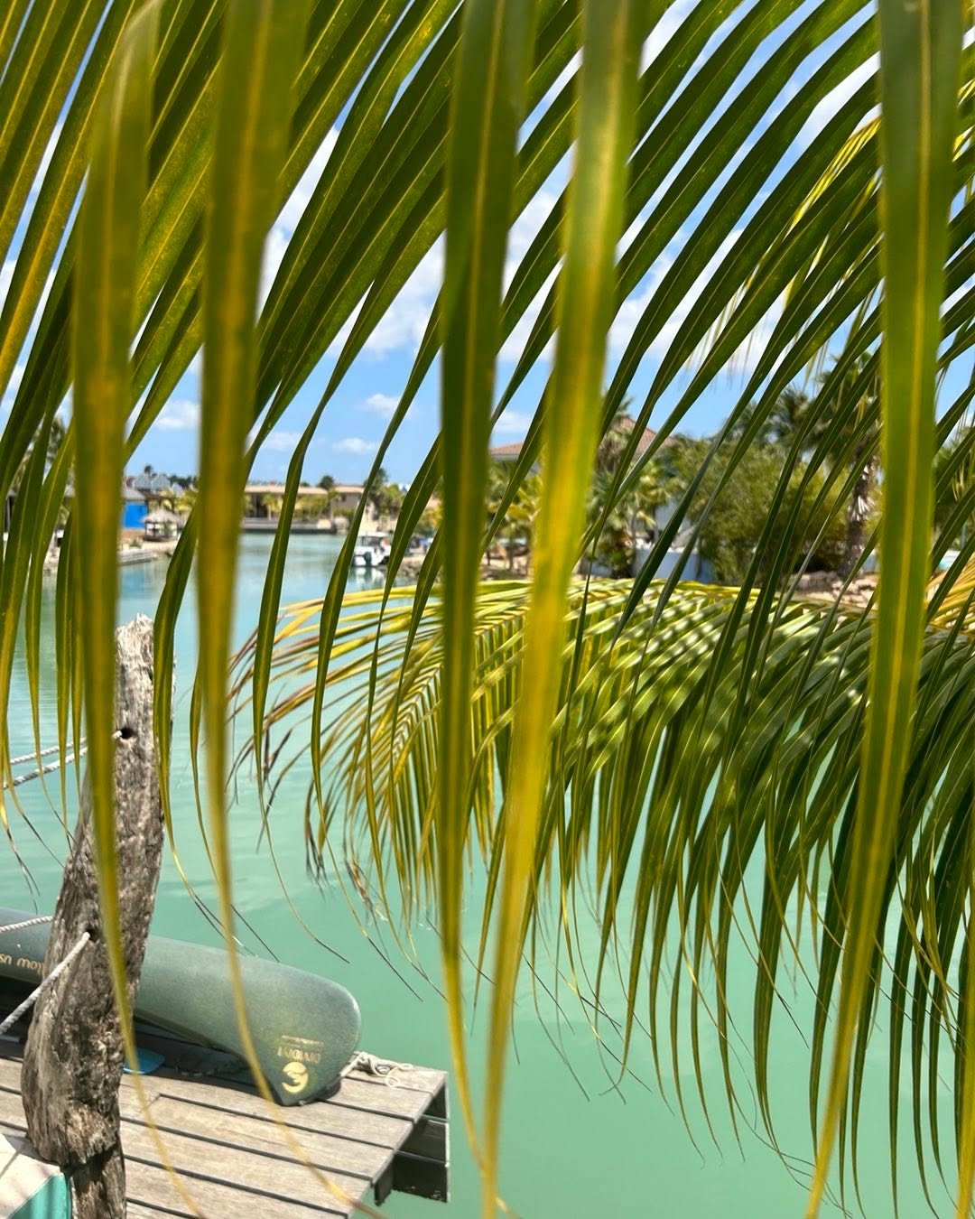 Collecting moments, not things 🌴🌴🌴