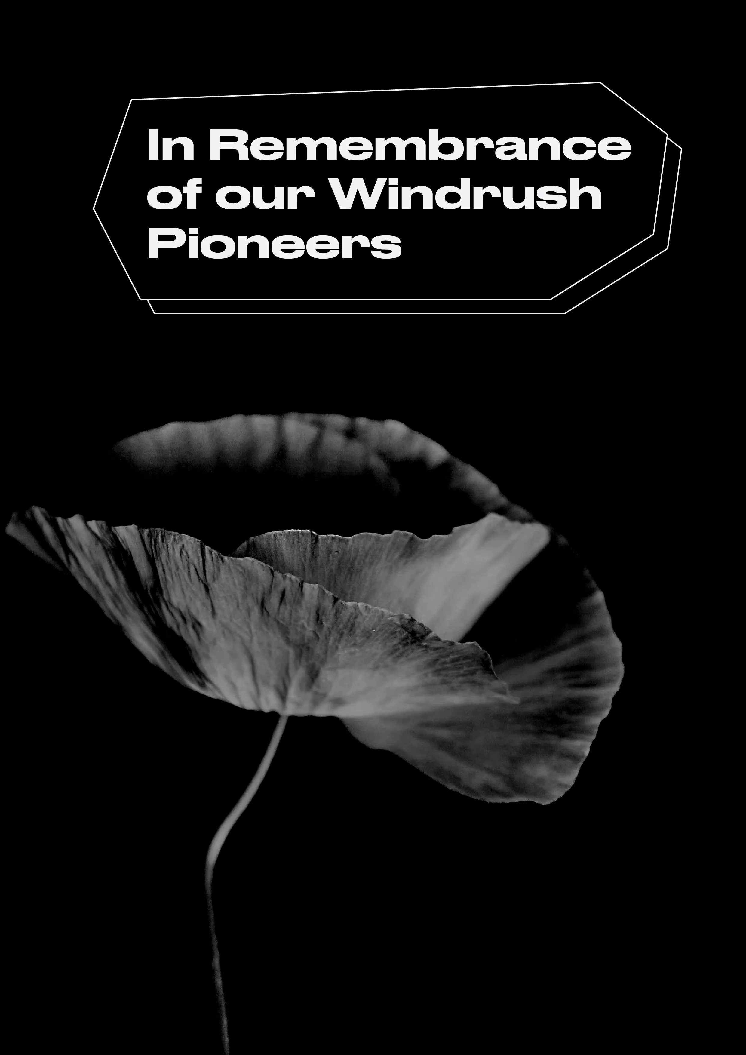 Events — National Windrush Museum