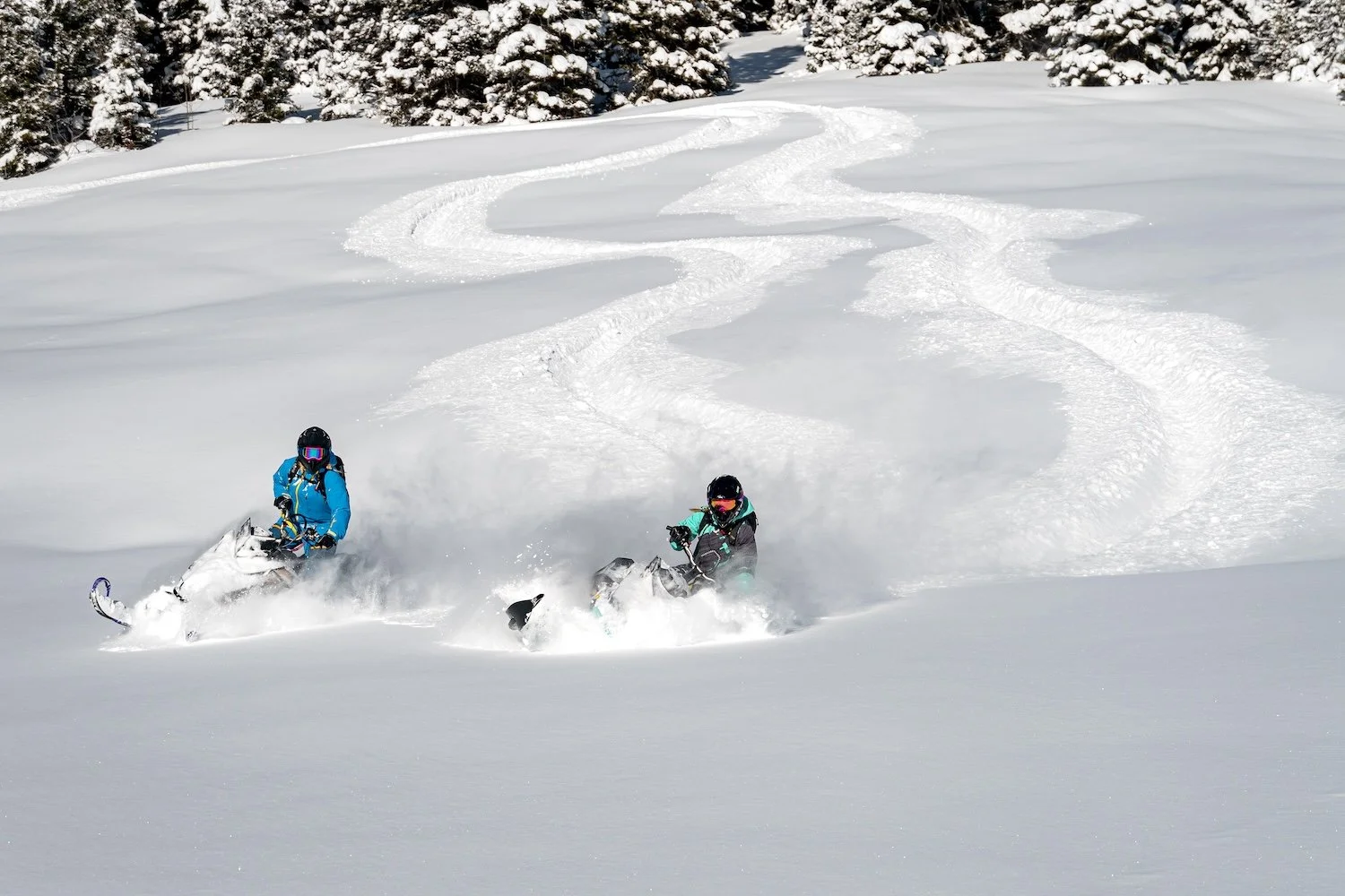 ILLA bc sled 5.jpg (Copy)