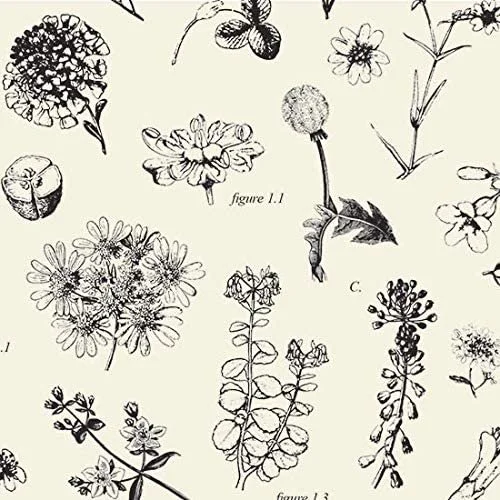 BOTANICAL TISSUE.jpg