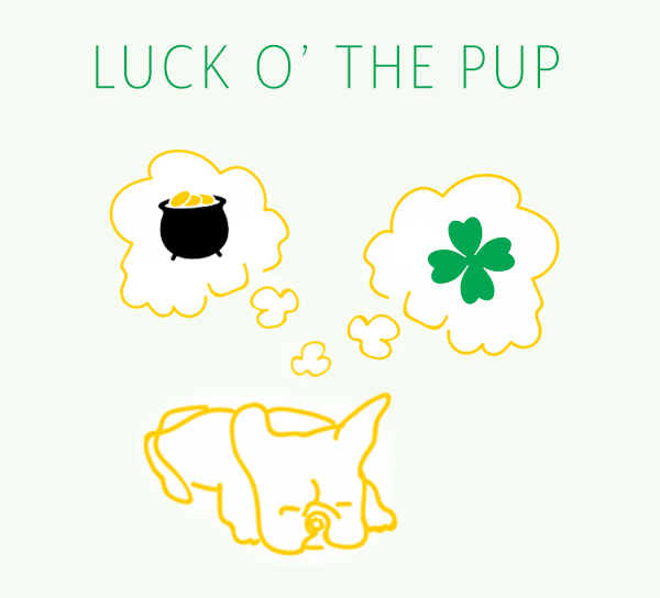 barkchef-st-patty-s-day_orig.gif