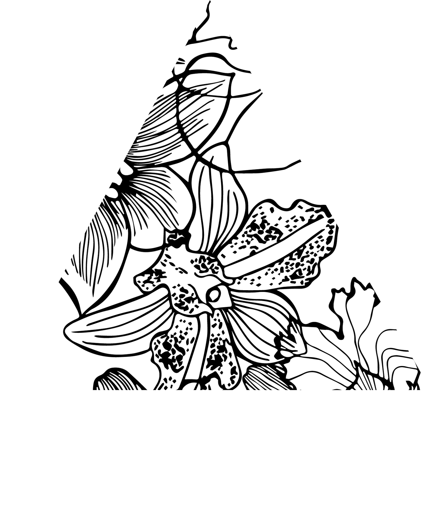 Living Well Counseling-Center