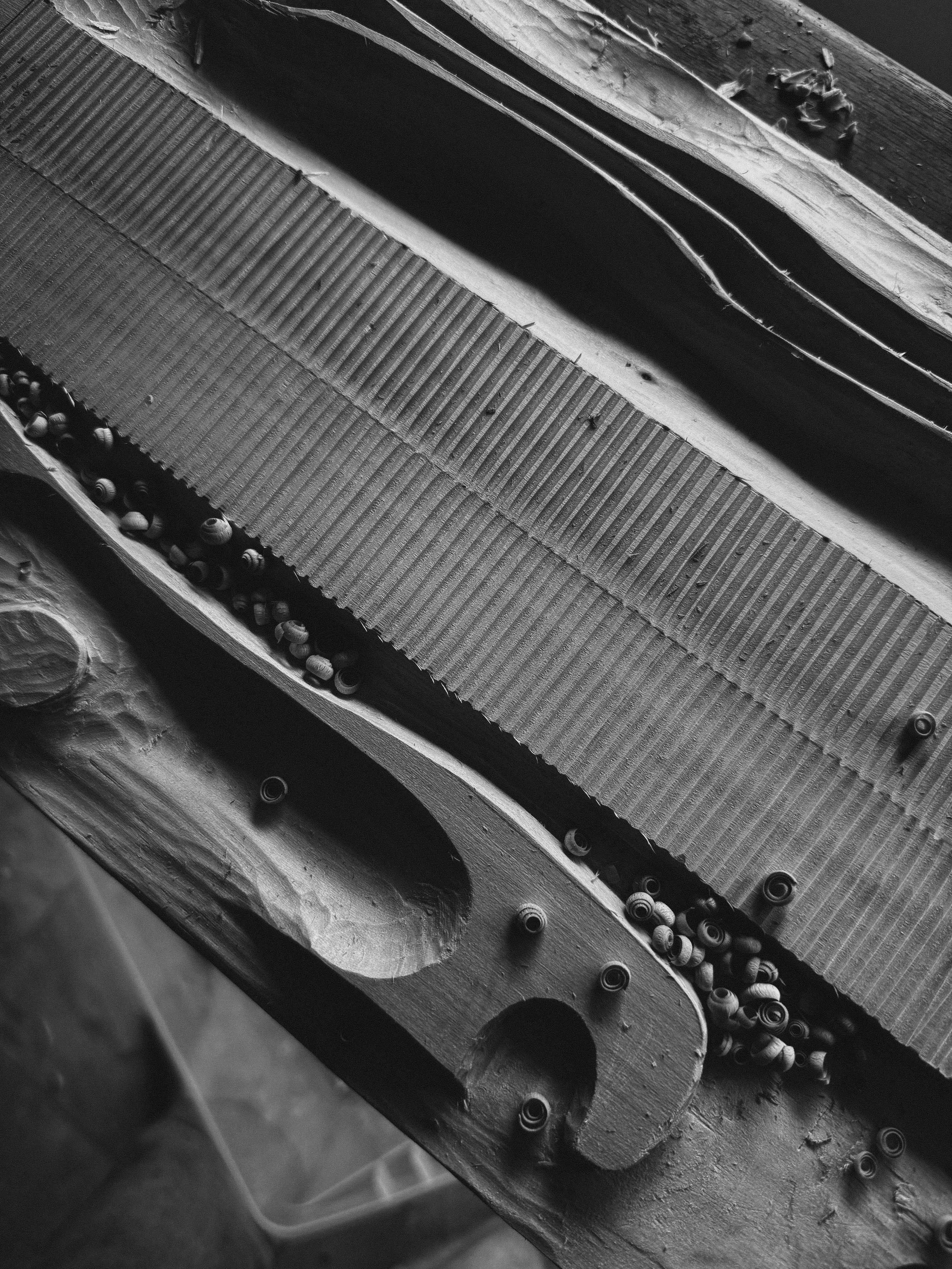 Detailed close-up of hand-carved wood grain and rhythmic parallel grooves, with small wood shavings resting in the recessed curves of the sculpture.
