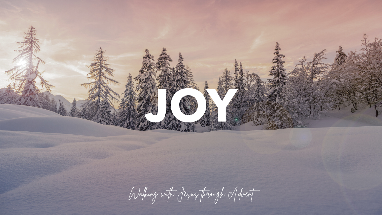 Advent 3: Joy