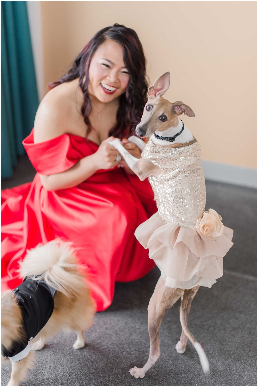 bride getting ready, with her dogs wearing a red wedding dress in an bride and bridesmaids getting ready at an intimate wedding in hoboken new jersey at the W Hotel
