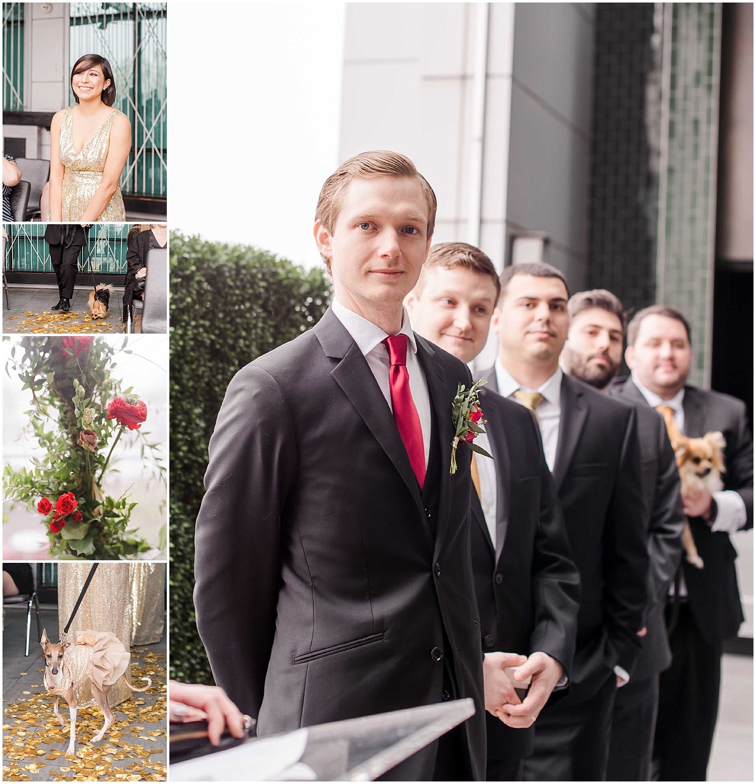 groom, and dogs in an intimate wedding in hoboken new jersey at the W Hotel