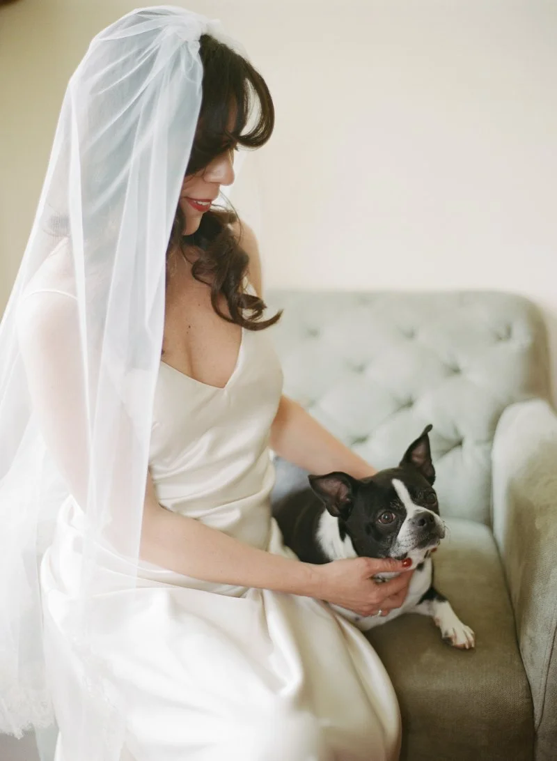  a bride sits with her dog in her wedding dress and veil  