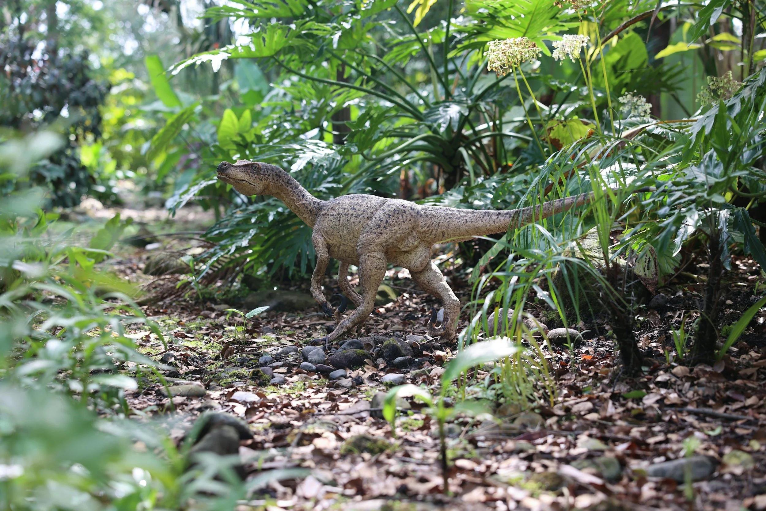Jurassic Journey