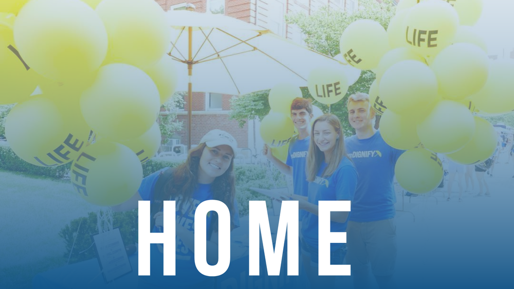 weDignify Home Page