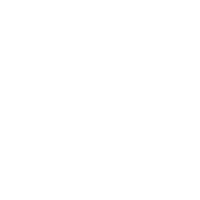 02_adidas.png