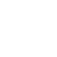 12_Ford.png