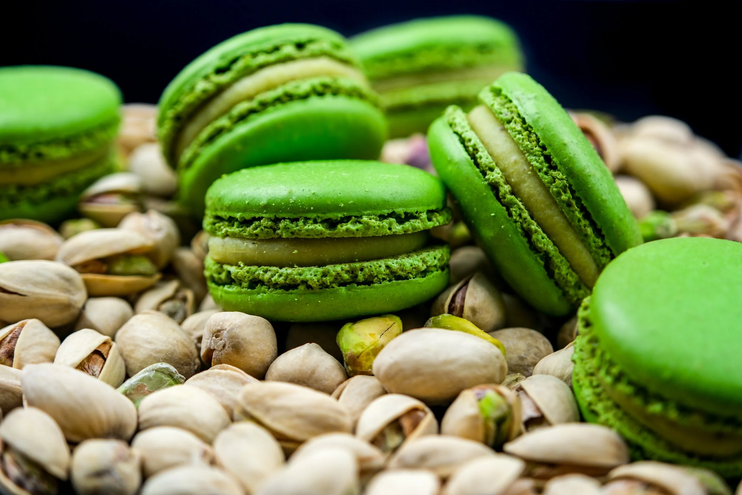 Photos March 2026 - Thierry Atlan x Nawelle AJENGUI-01.jpg