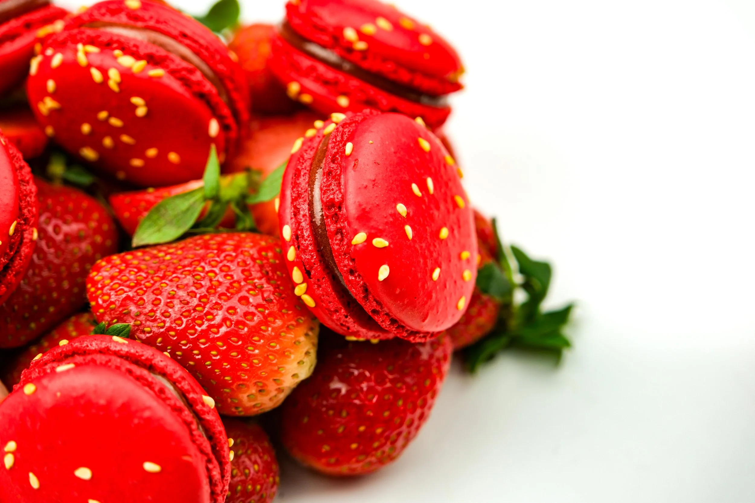 Photos March 2026 - Thierry Atlan x Nawelle AJENGUI-05.jpg