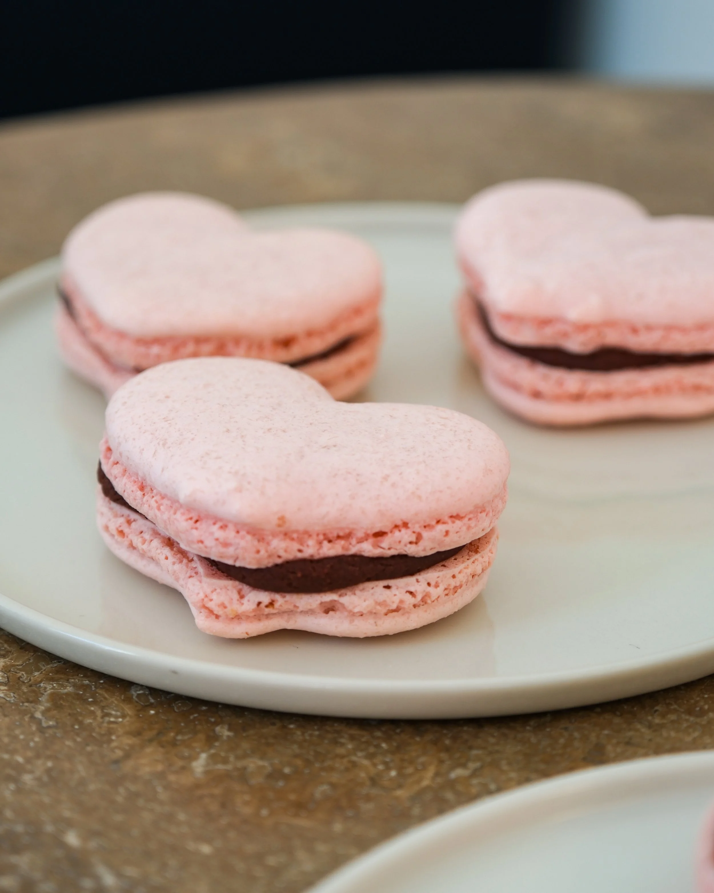 Photos February 2026 - Atelier Ariana x Nawelle AJENGUI-04-1.jpg