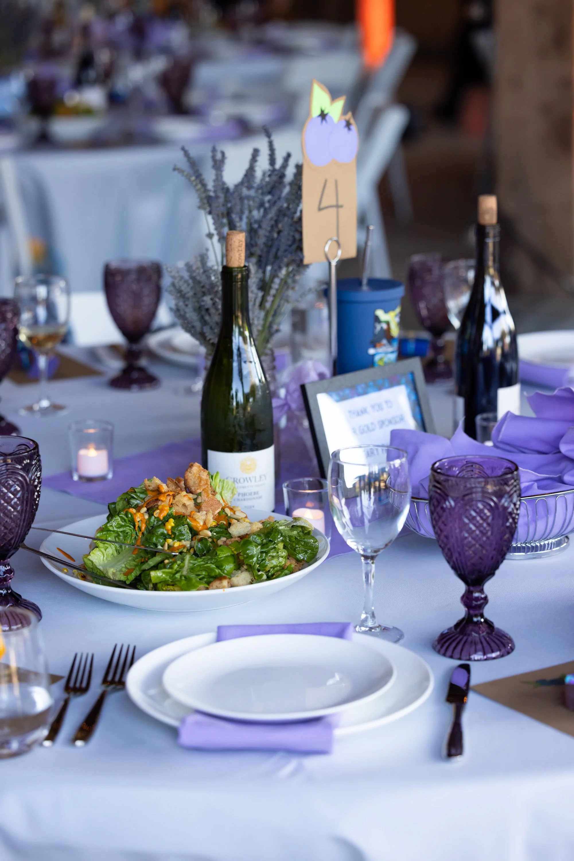 OWF-2026 Soiree-Andrea Lonas Photography-194.jpg