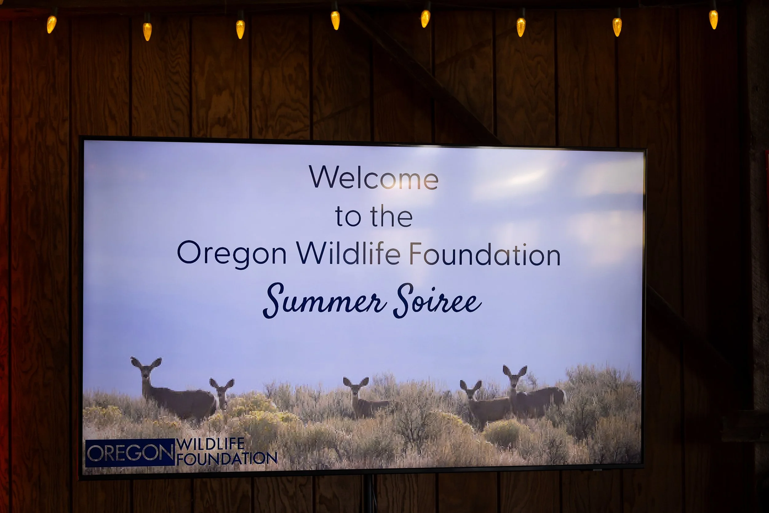 OWF-2026 Soiree-Andrea Lonas Photography-246.jpg