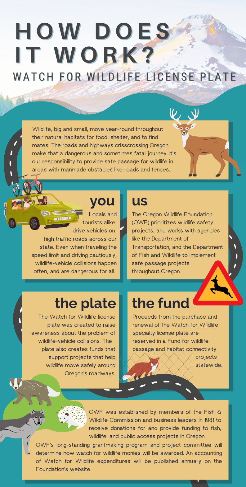 Watch for Wildlife — Oregon Wildlife Foundation