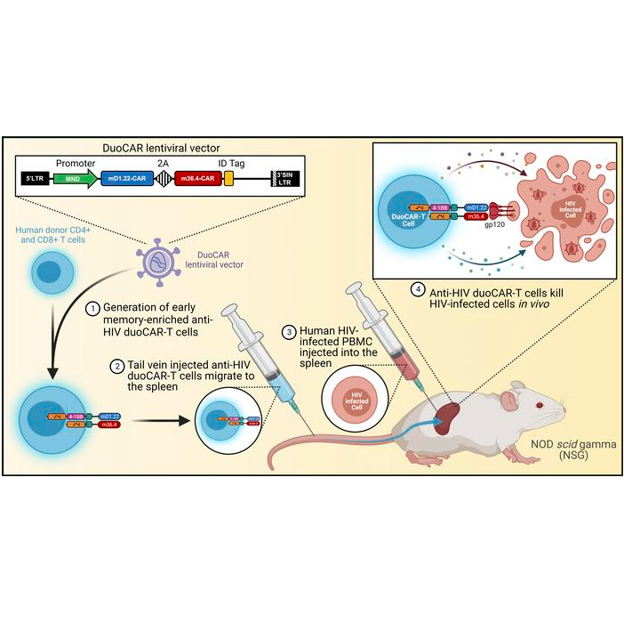 Screen Shot 2022-11-10 at 1.03.30 PM.png