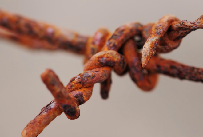 The Hidden Signs of Bicultural Professional Burnout (That Everyone Mistakes for Success]