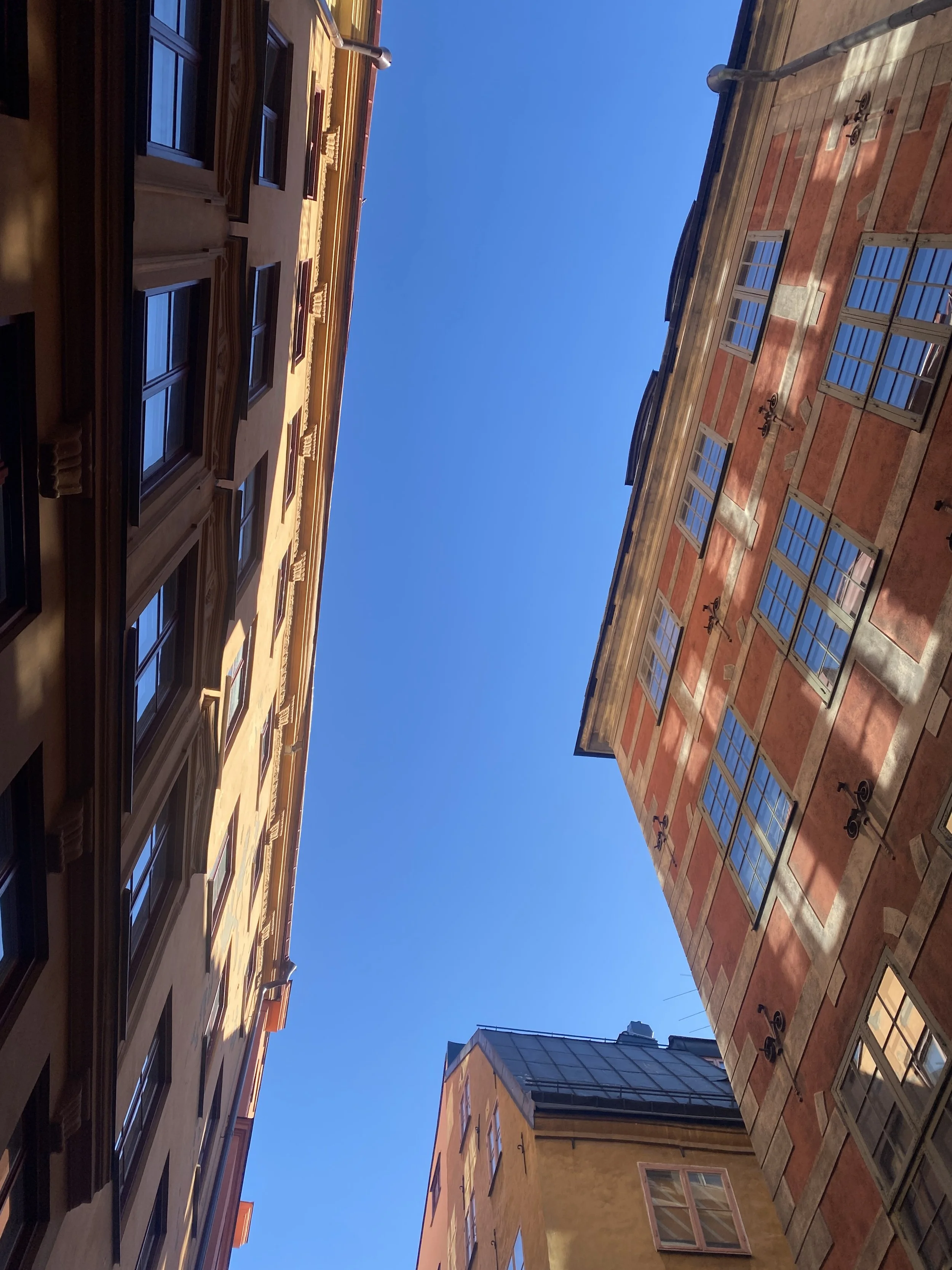 IMG_4532.jpeg