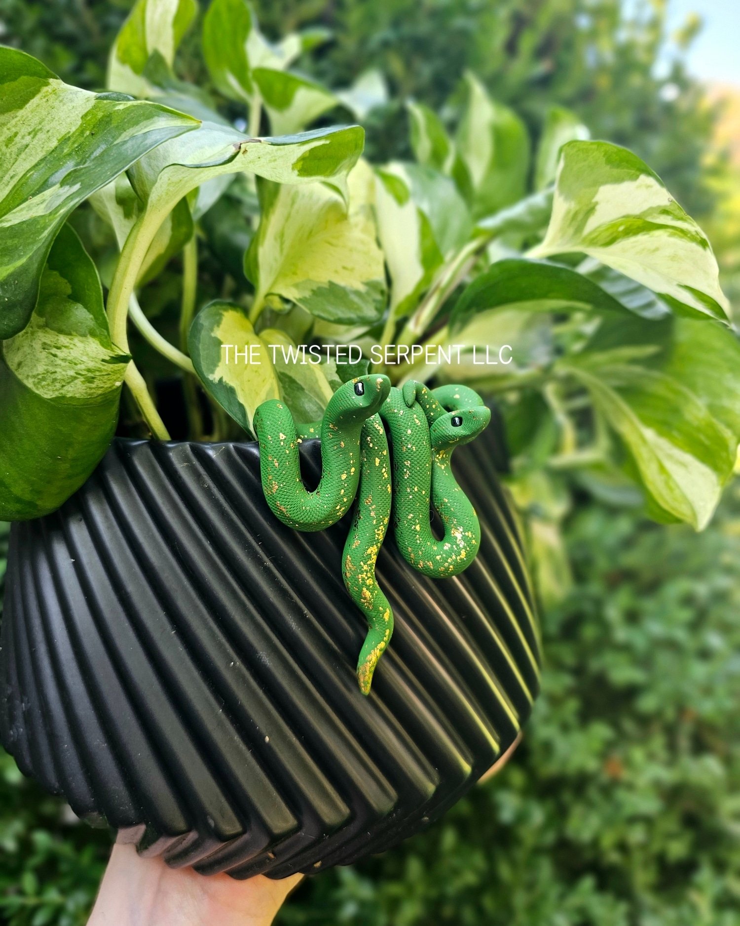 Metal Collection Pot Pal