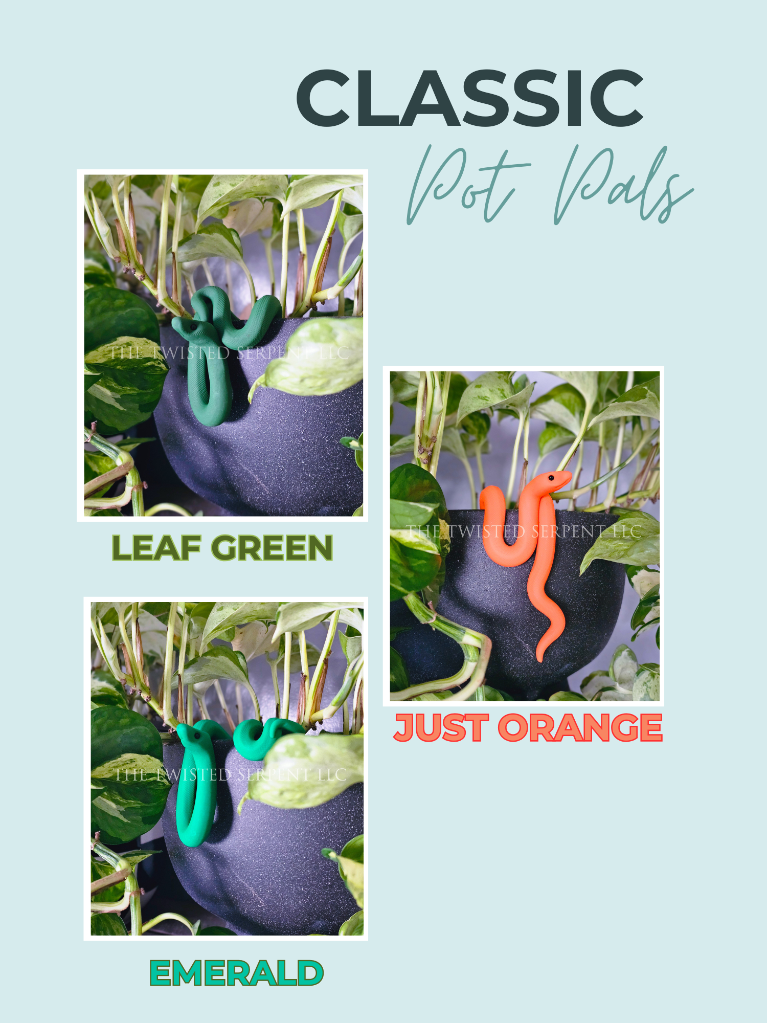 Classics Website (3).png