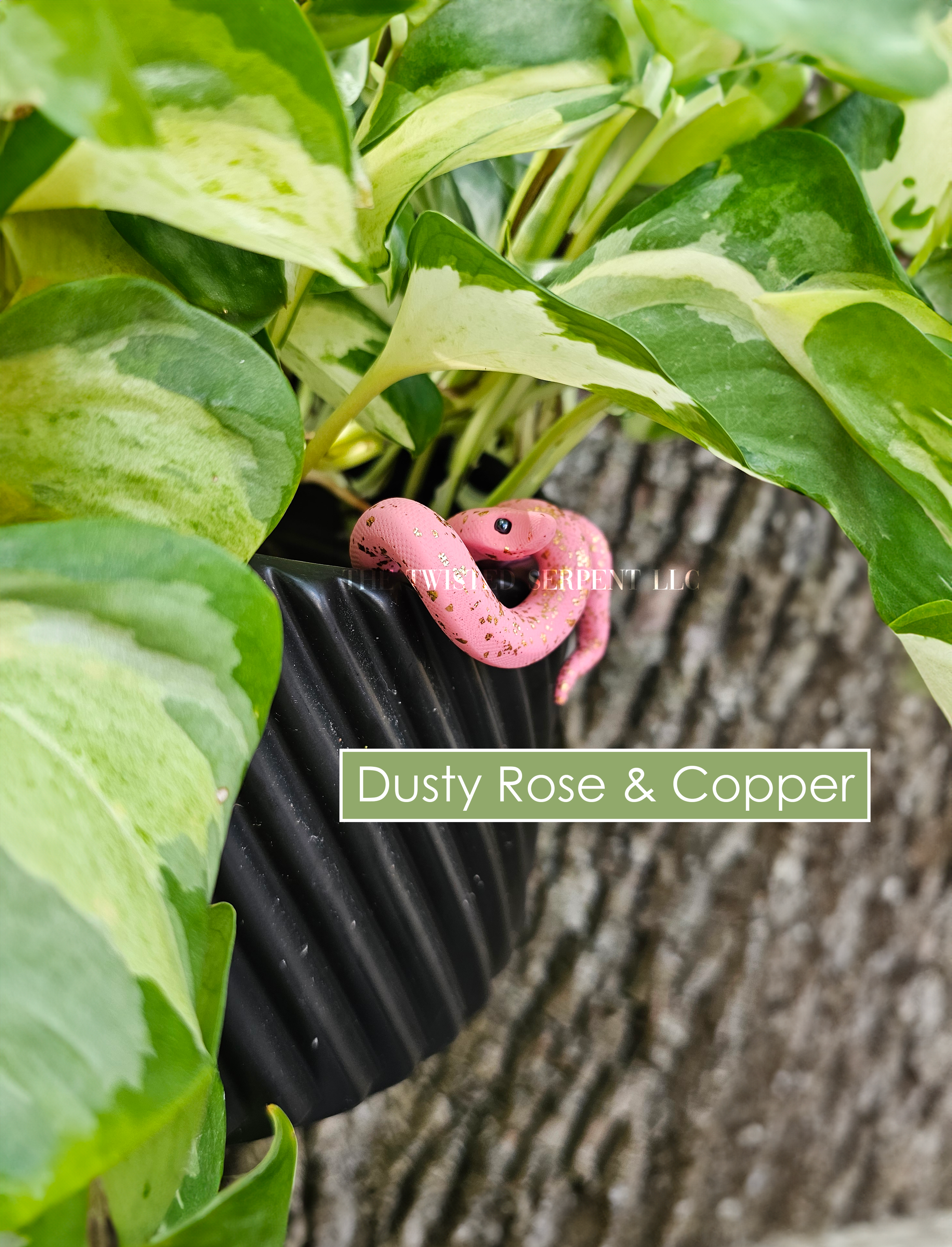 Dusty Rose & Copper.png