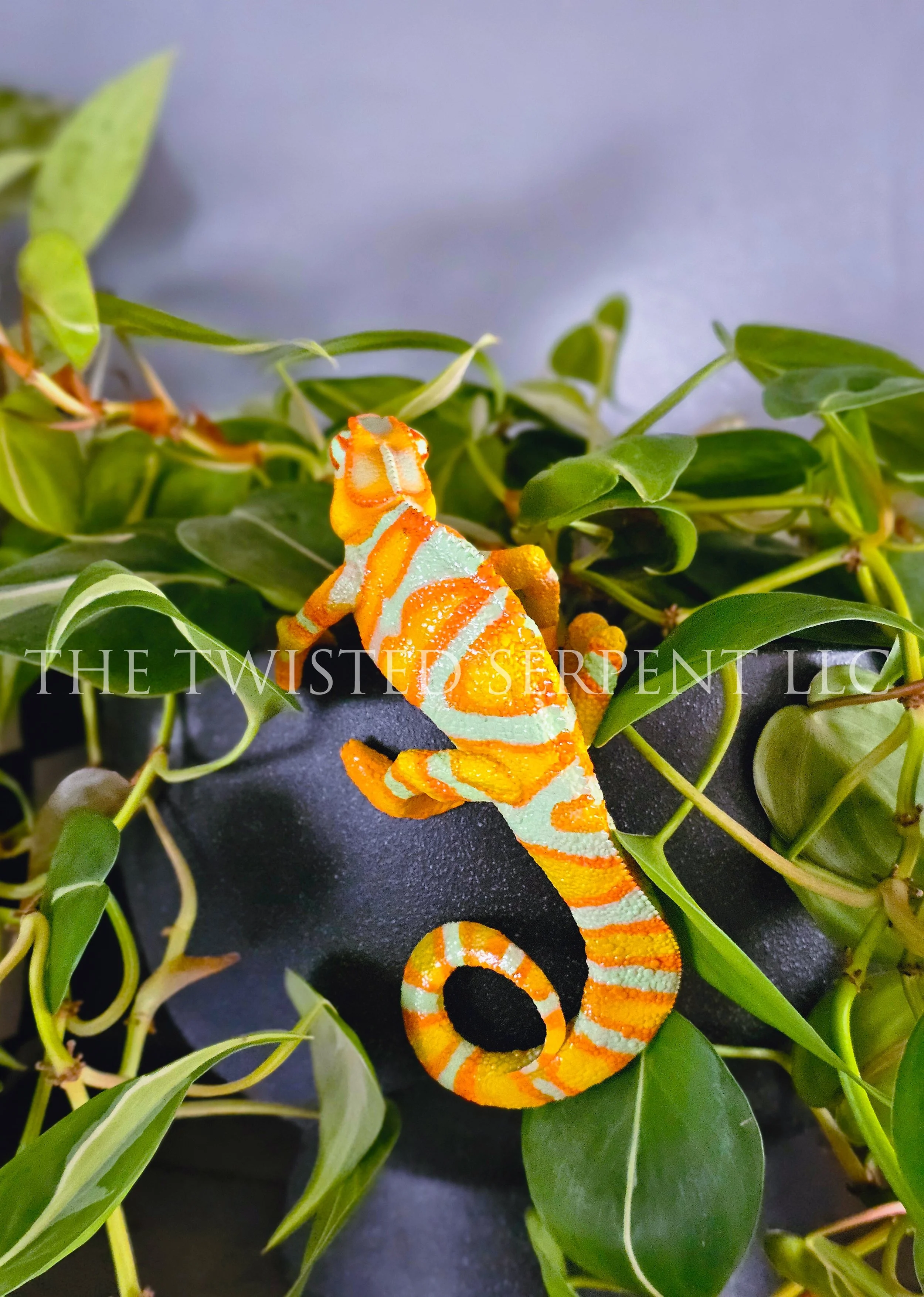 Tangerine Orange Panther Chameleon 2.jpg