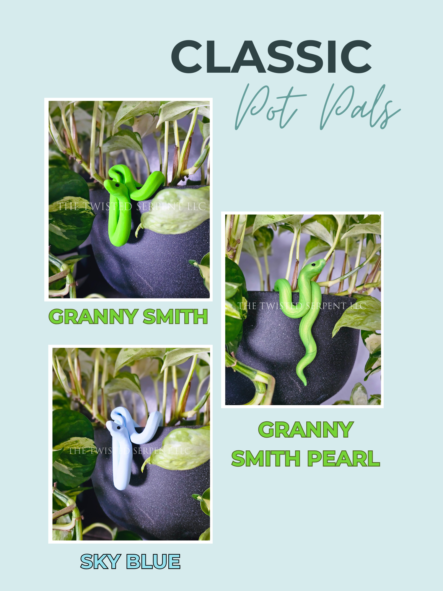 Classics Website (2).png