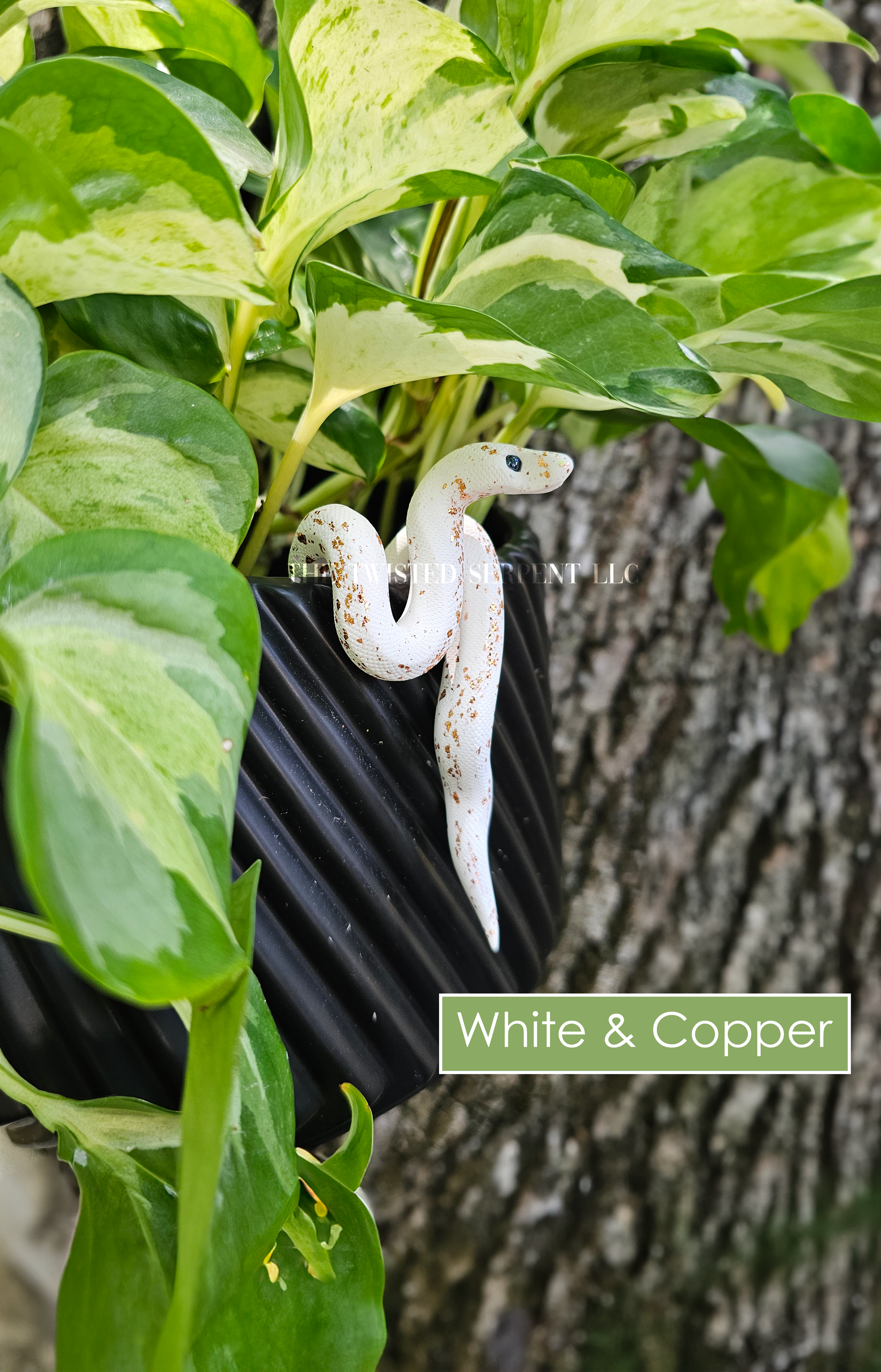 White & Copper.png