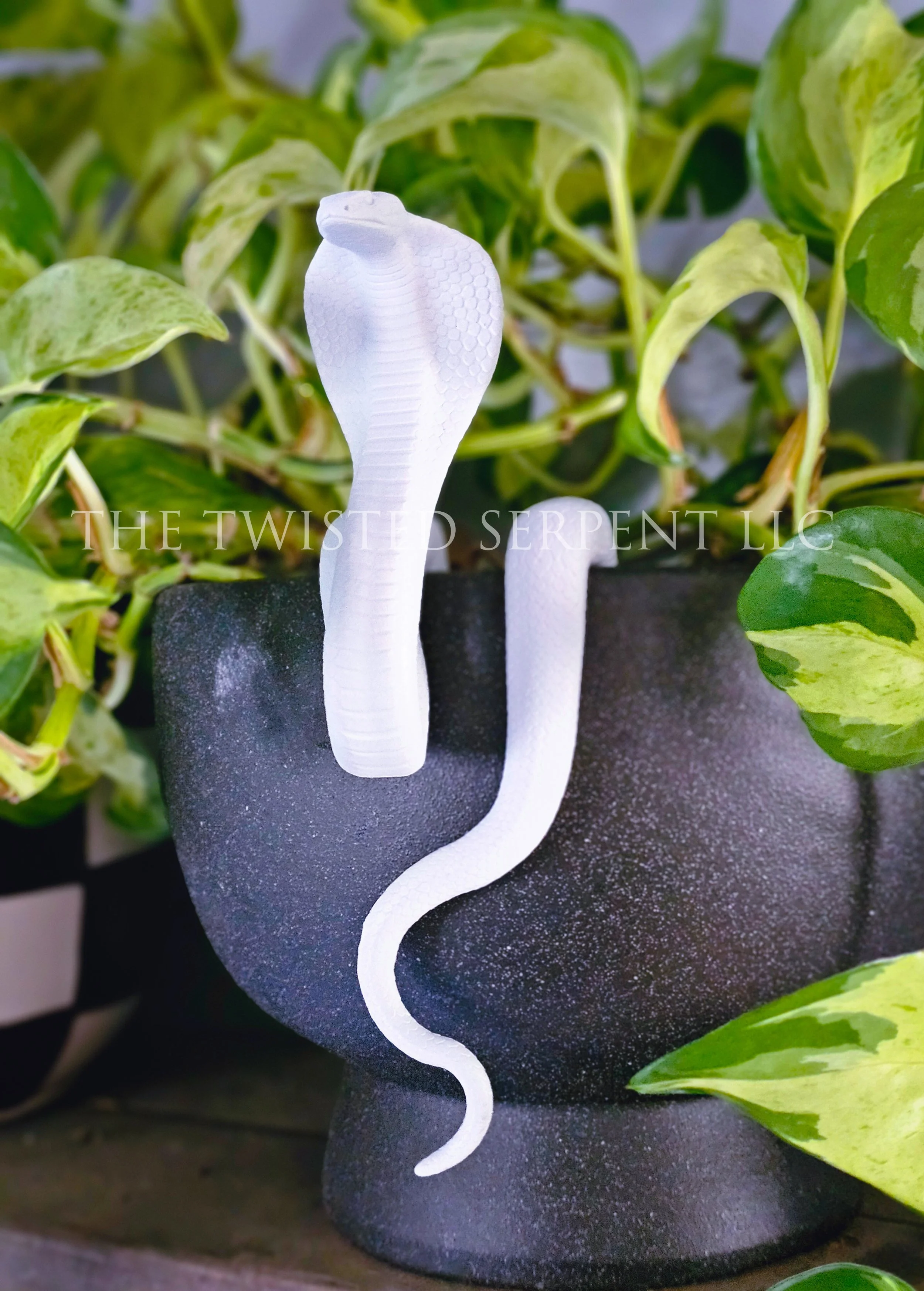 PIY Cobra 2.jpg