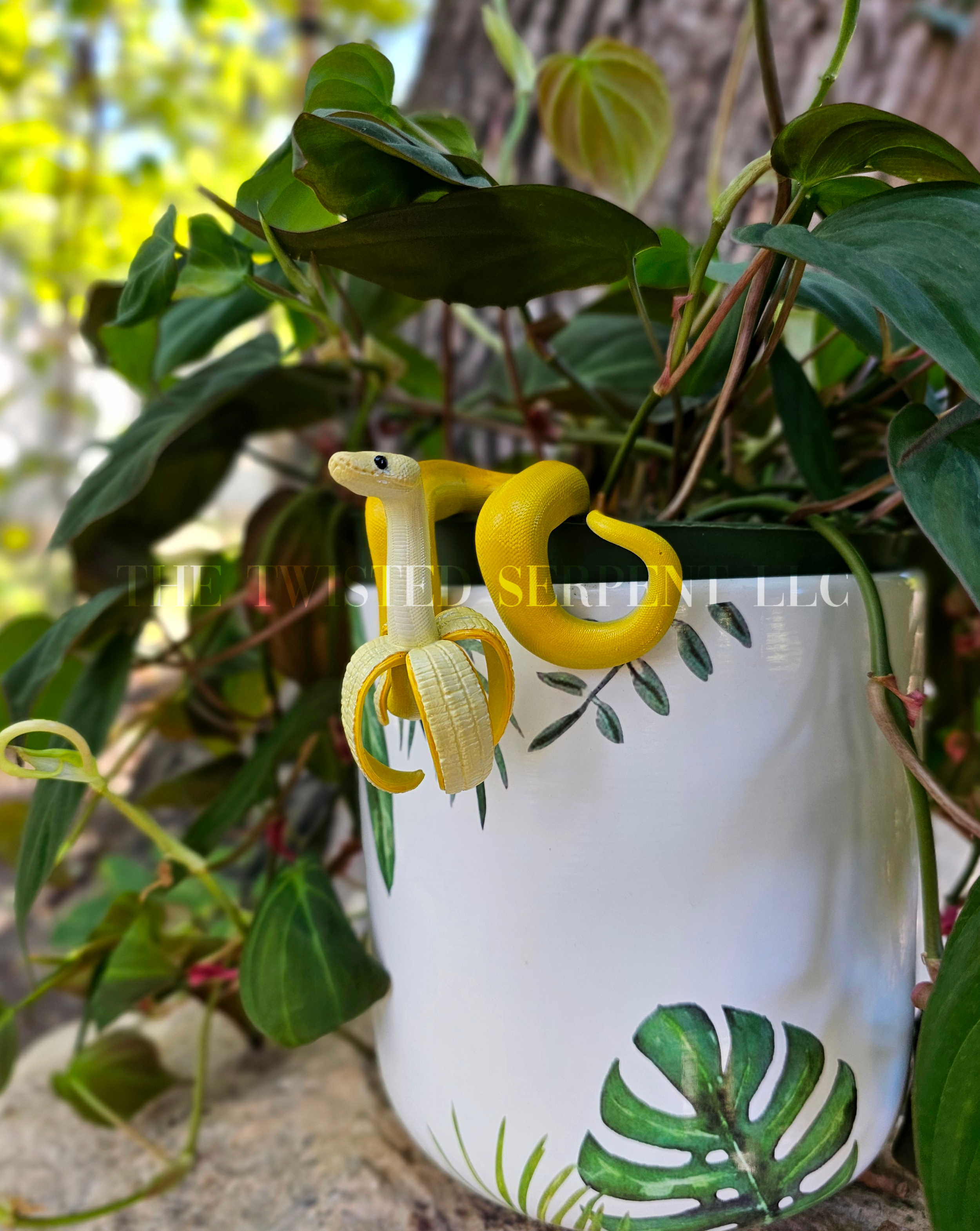 Bananas 2.png