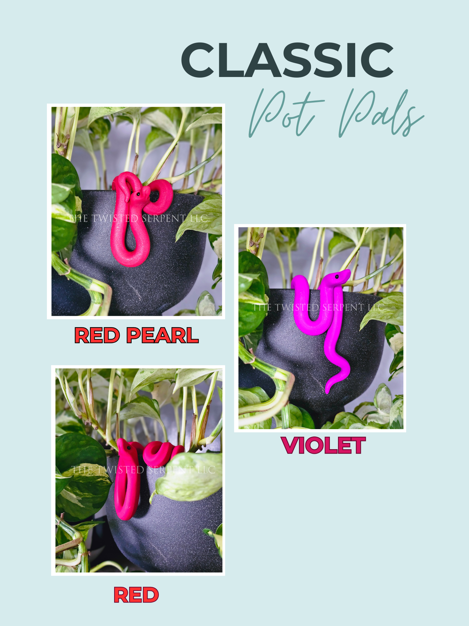 Classics Website (1).png