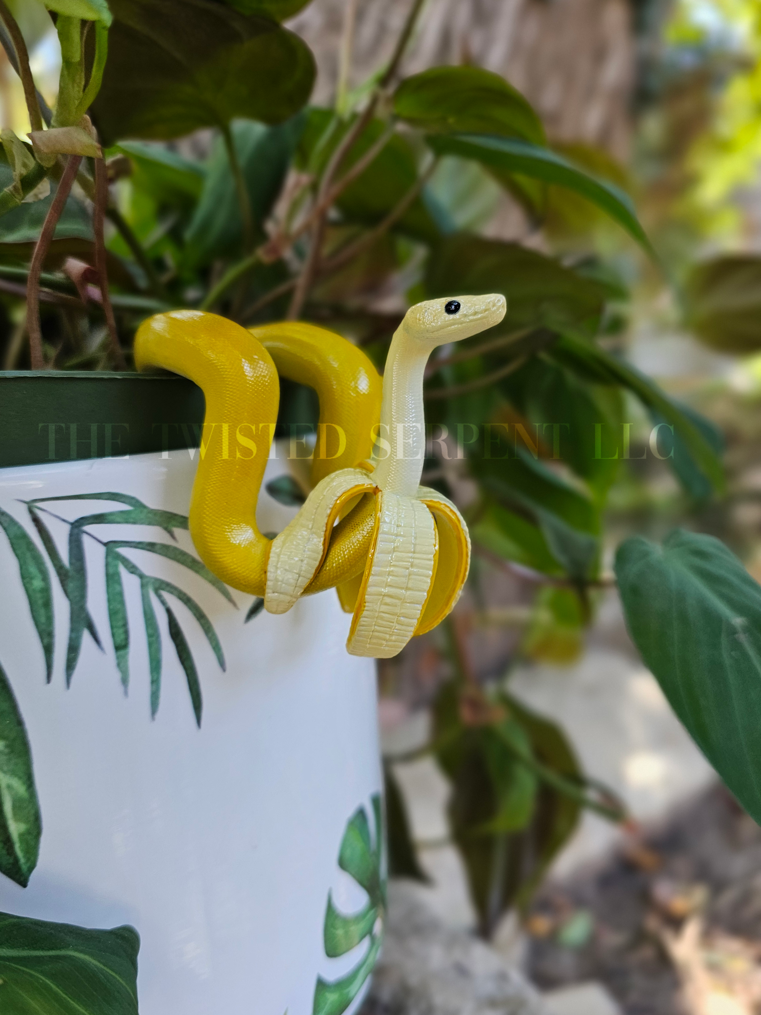 Bananas 3.png