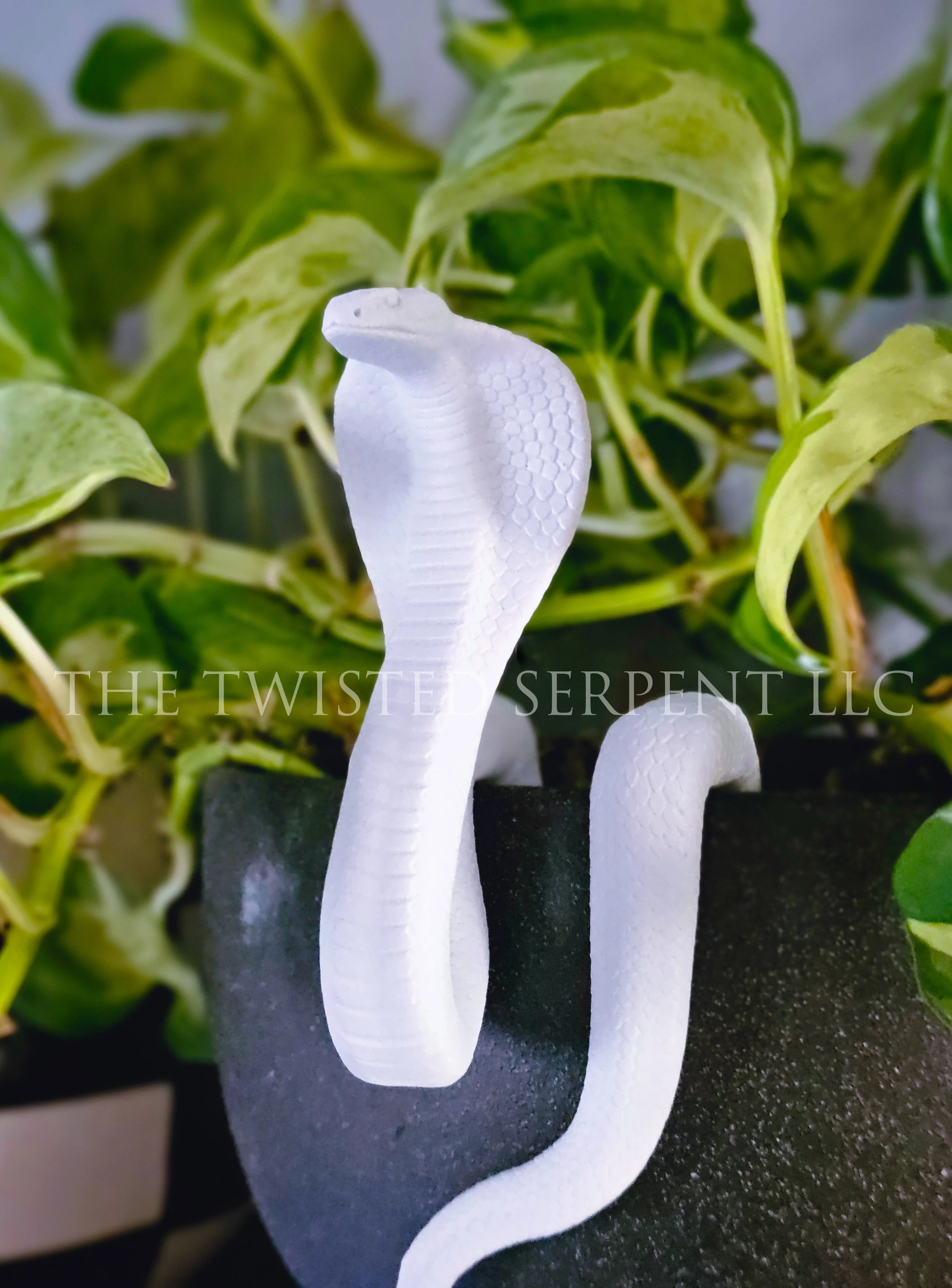 Paint-It-Yourself Cobra