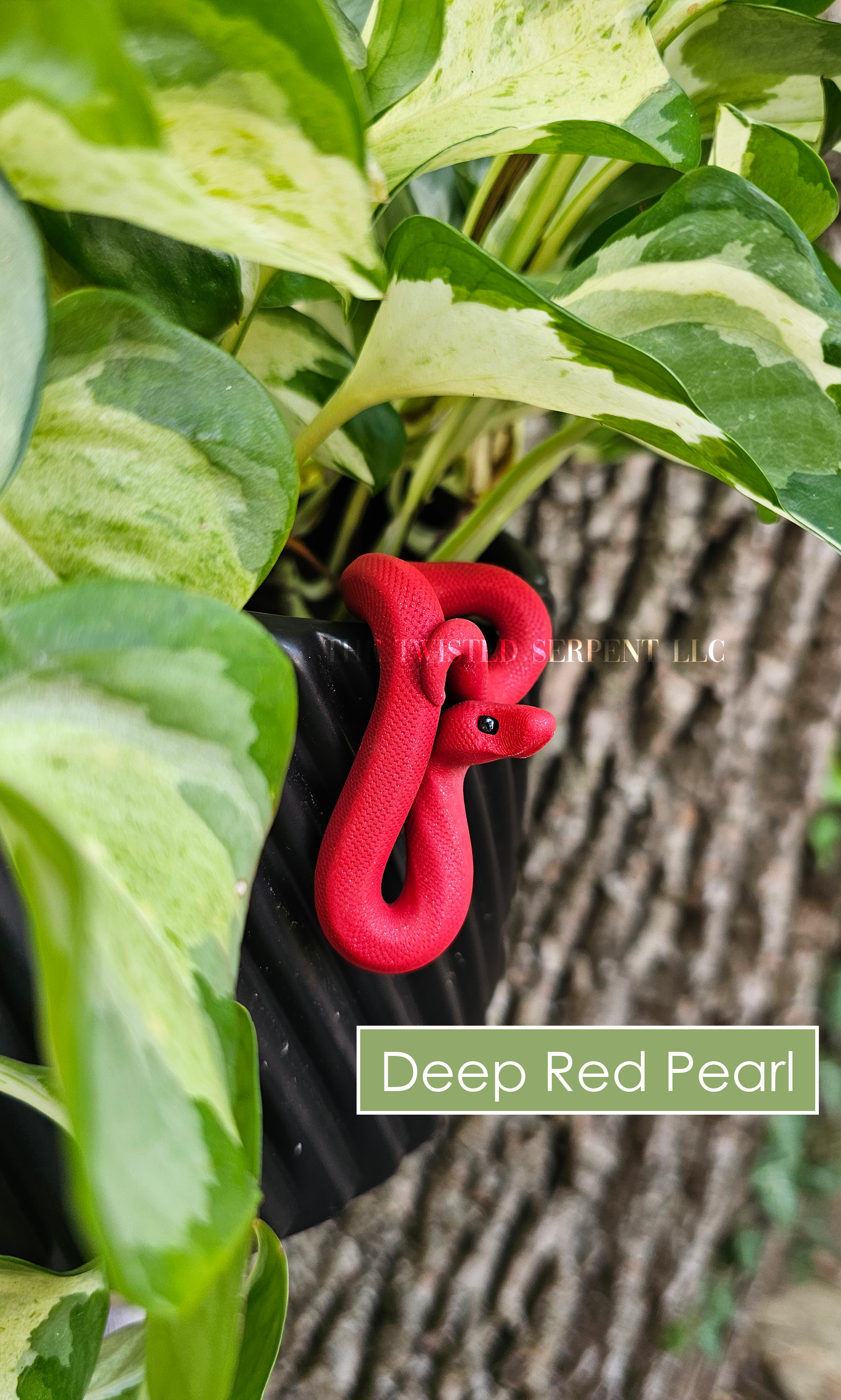 Deep Red Pearl.png